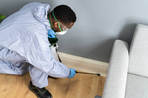 Best Residential Pest Control  in Schererville, IN